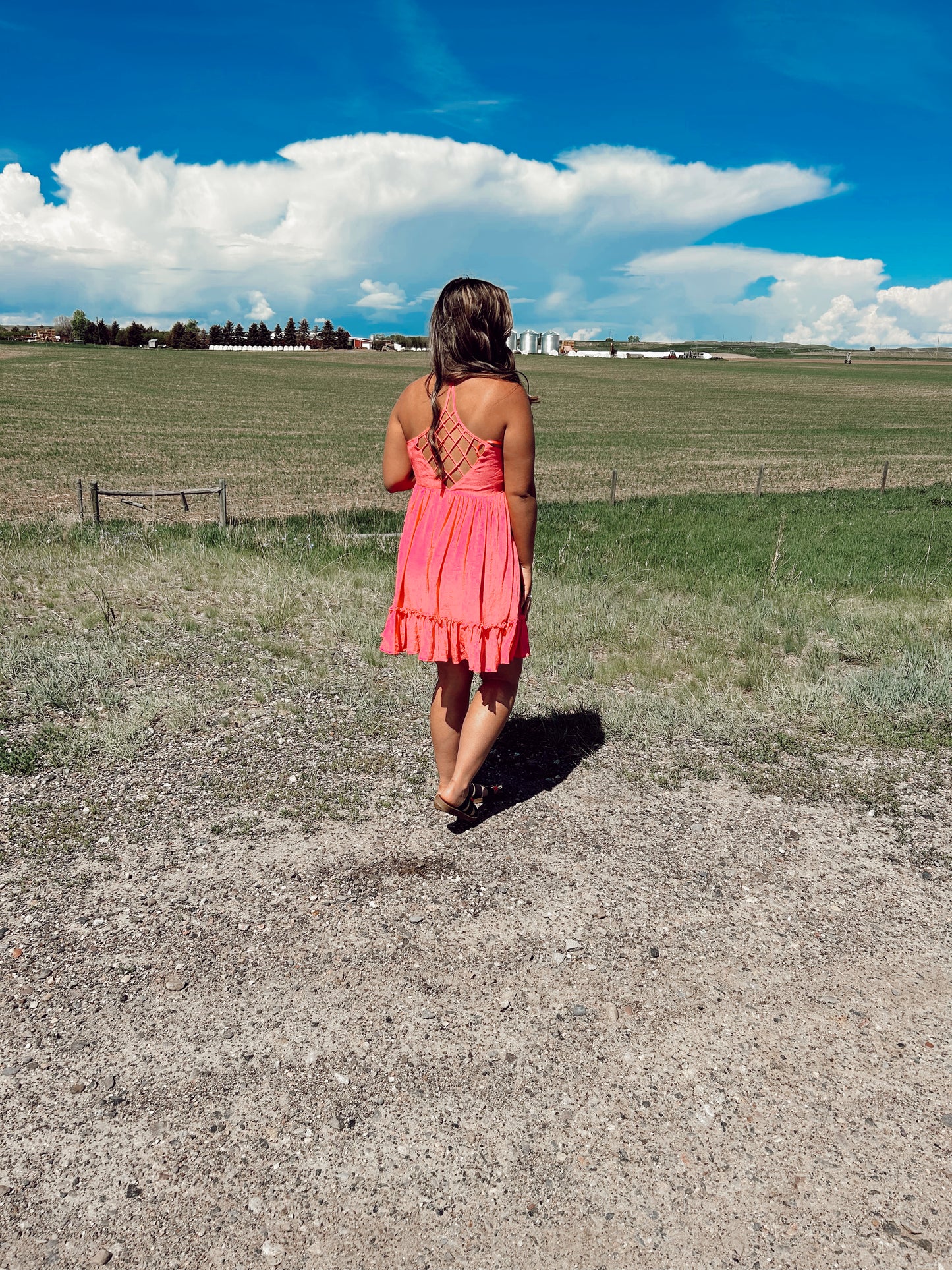 Raelynn Mini Dress