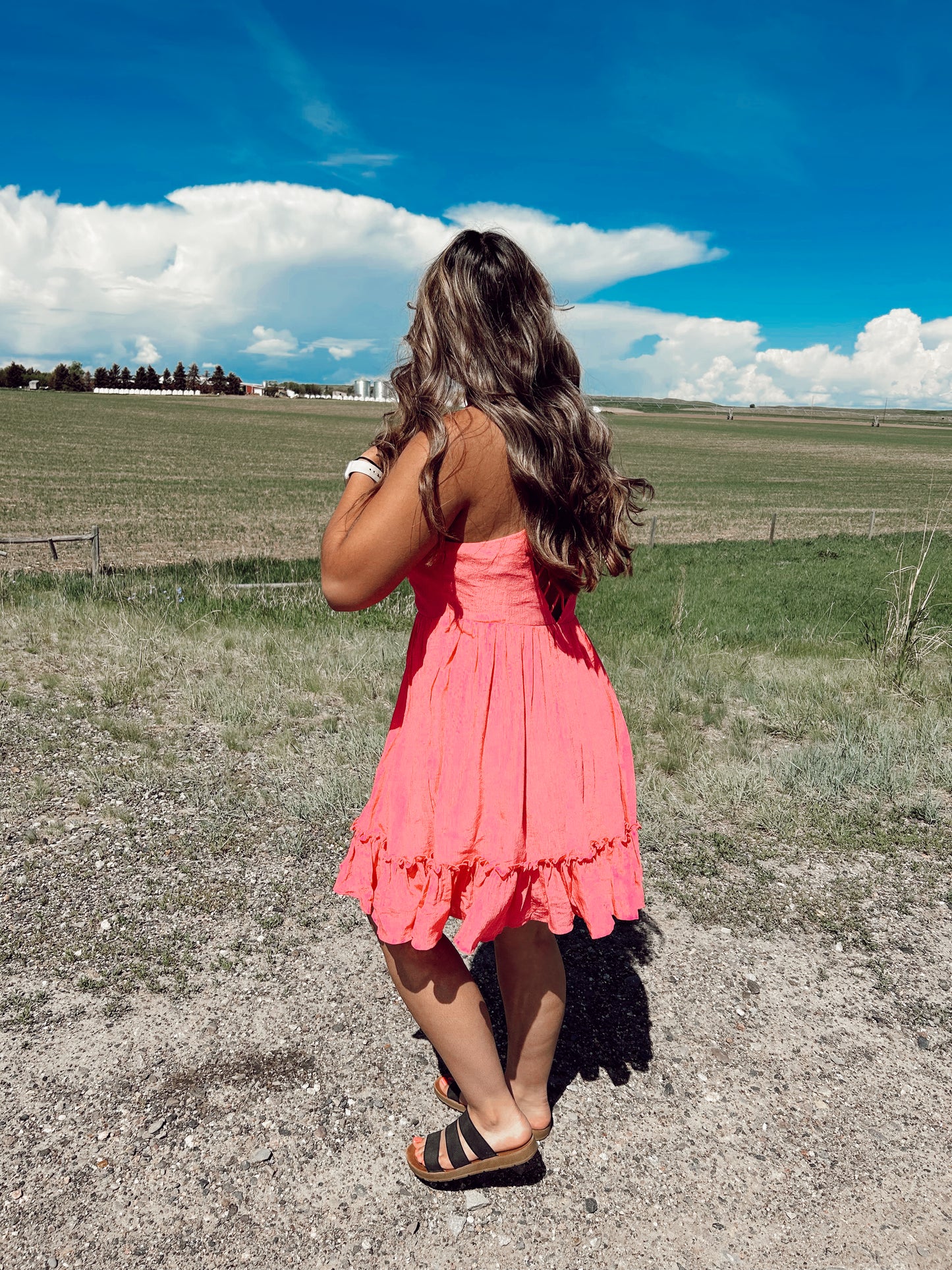 Raelynn Mini Dress